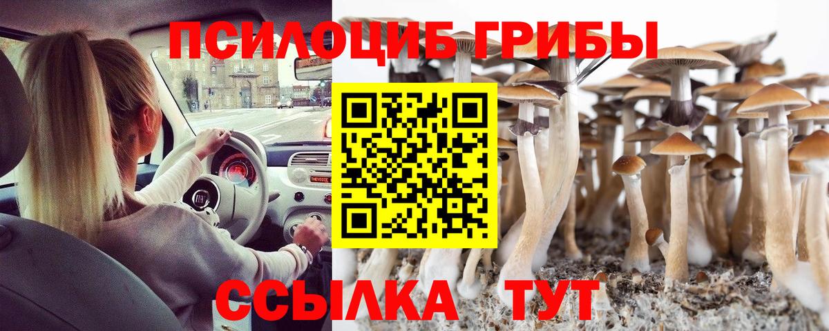 что такое   Галлюциногенные грибы Cubensis  Вход с VPN  Галлюциногенные грибы мухоморы  Междуреченск 